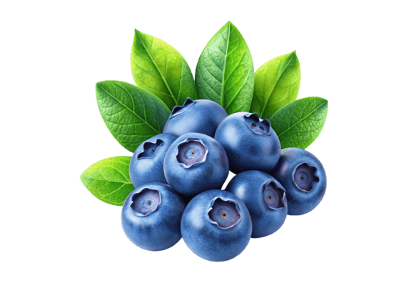 Blueberries & Leaves 3D PNG Assets