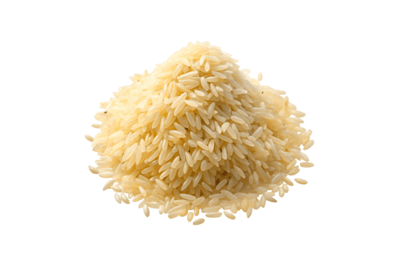 Close Up Rice 3D Render PNG Assets