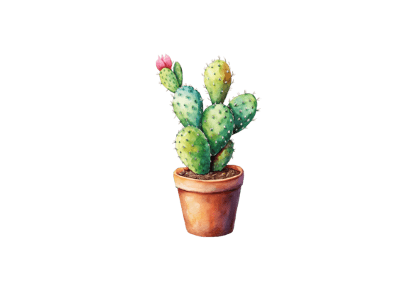 Evaluating Cactus Clipart 3D Succulents PNG Images for Commercial Design Projects